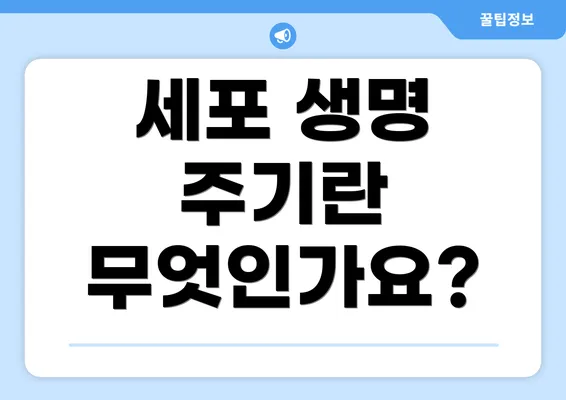 세포 생명 주기란 무엇인가요?