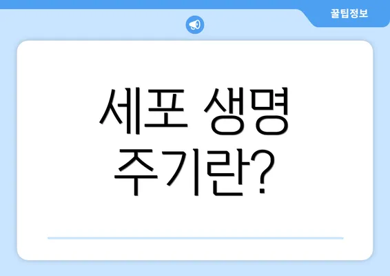 세포 생명 주기란?