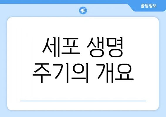 세포 생명 주기의 개요