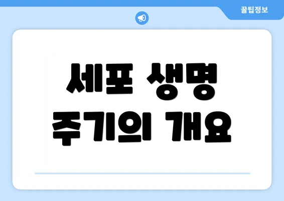 세포 생명 주기의 개요