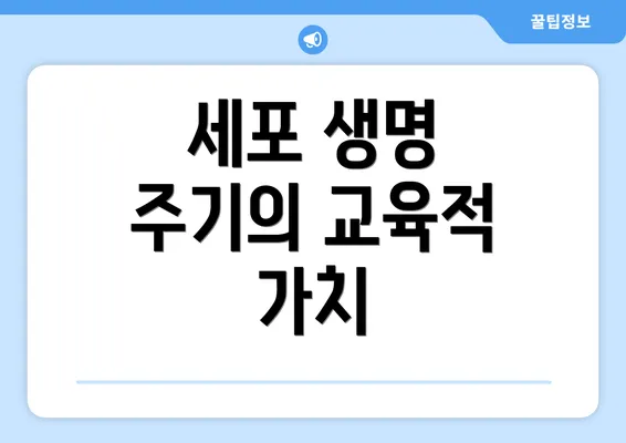 세포 생명 주기의 교육적 가치