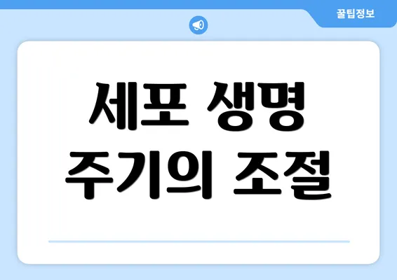 세포 생명 주기의 조절