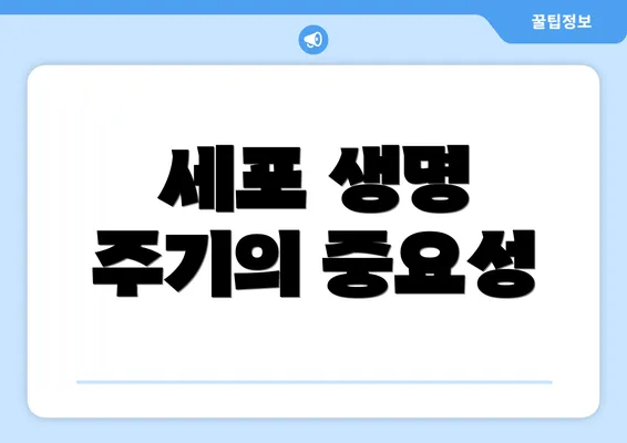 세포 생명 주기의 중요성