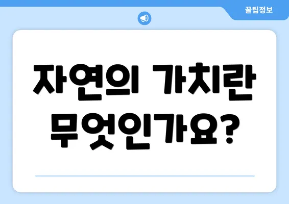 자연의 가치란 무엇인가요?