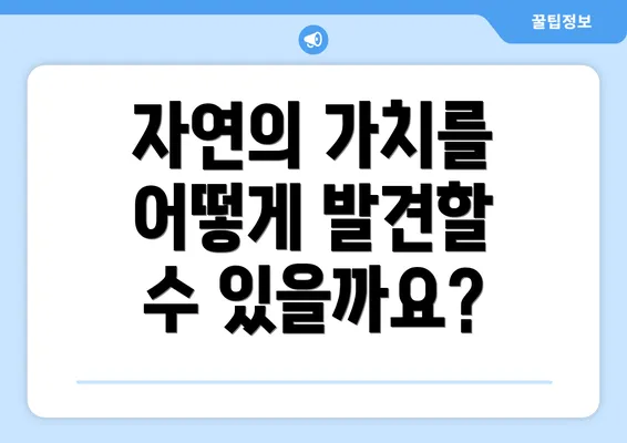 자연의 가치를 어떻게 발견할 수 있을까요?