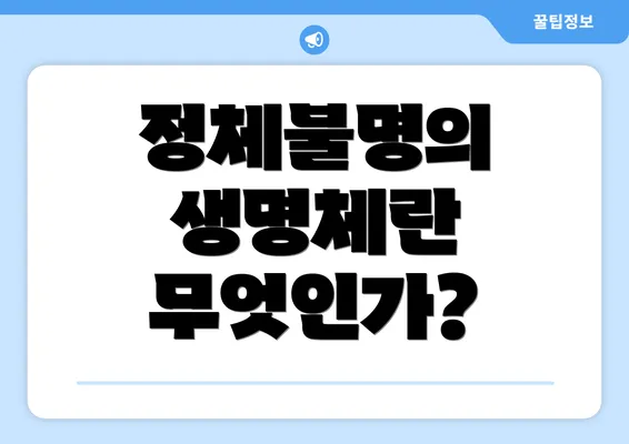 정체불명의 생명체란 무엇인가?