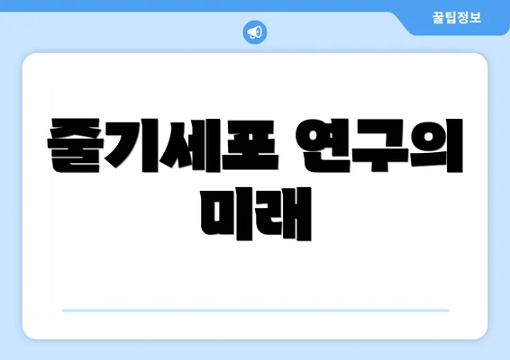 줄기세포 연구의 미래