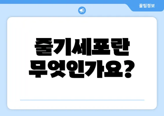 줄기세포란 무엇인가요?