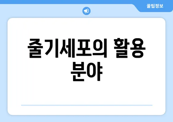 줄기세포의 활용 분야