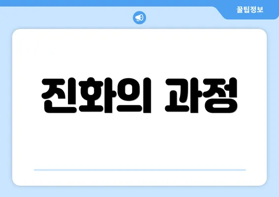 진화의 과정