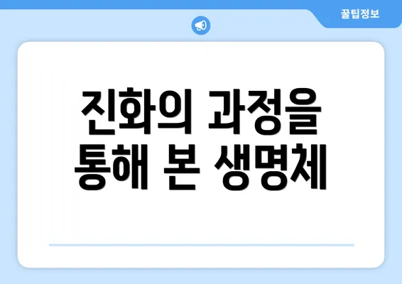 진화의 과정을 통해 본 생명체