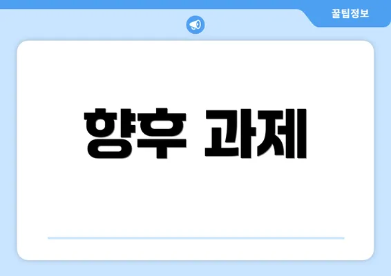향후 과제