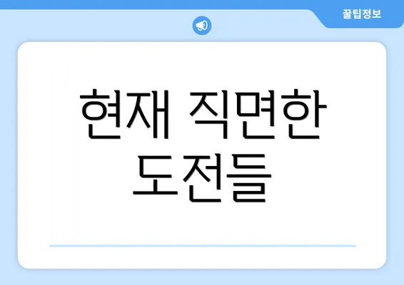 현재 직면한 도전들