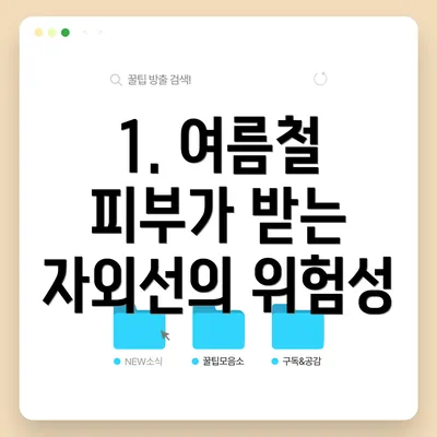 1. 여름철 피부가 받는 자외선의 위험성