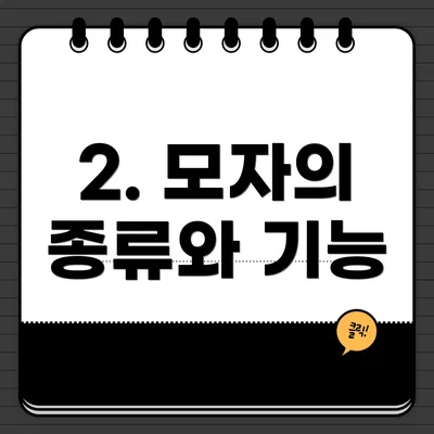 2. 모자의 종류와 기능