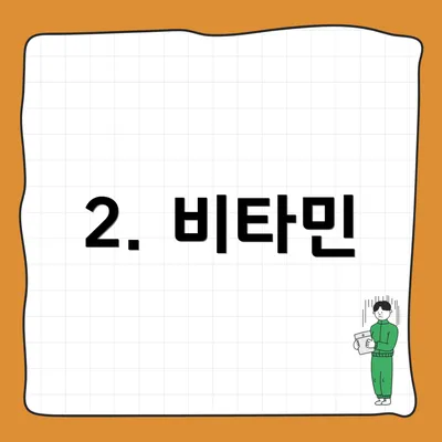 2. 비타민