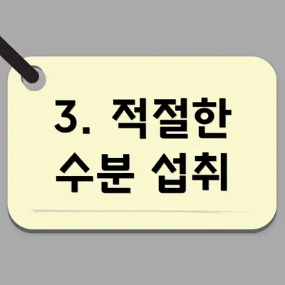 3. 적절한 수분 섭취