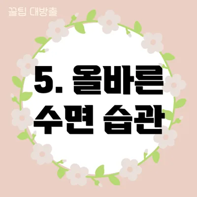 5. 올바른 수면 습관