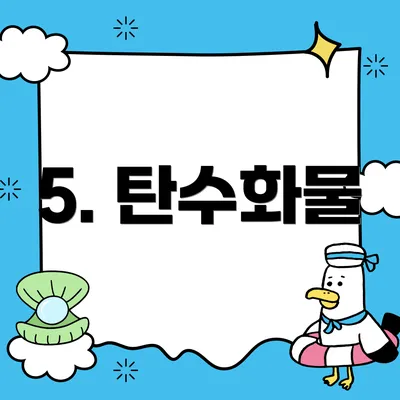 5. 탄수화물