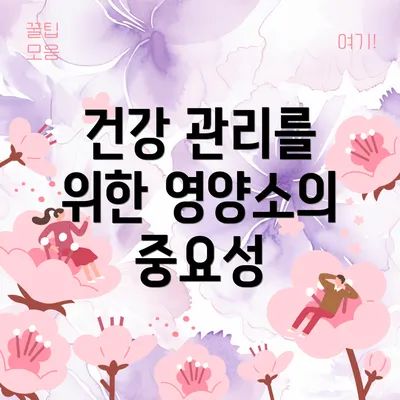 건강 관리를 위한 영양소의 중요성
