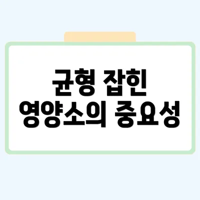 균형 잡힌 영양소의 중요성