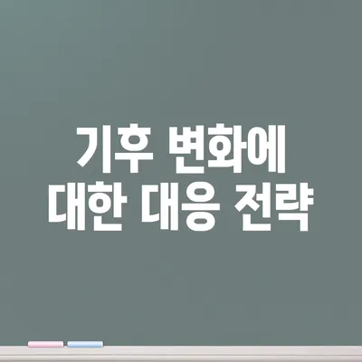 기후 변화에 대한 대응 전략