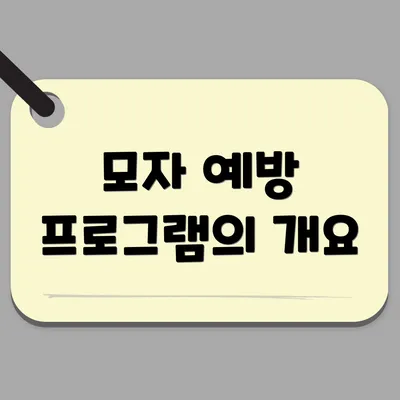 모자 예방 프로그램의 개요