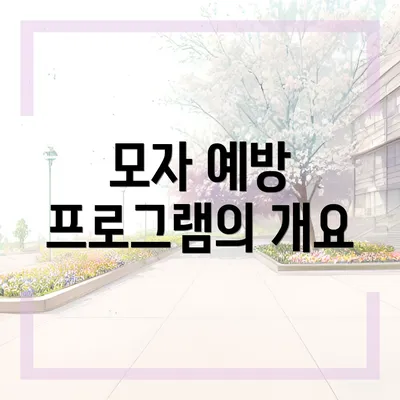 모자 예방 프로그램의 개요