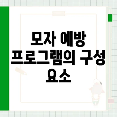 모자 예방 프로그램의 구성 요소