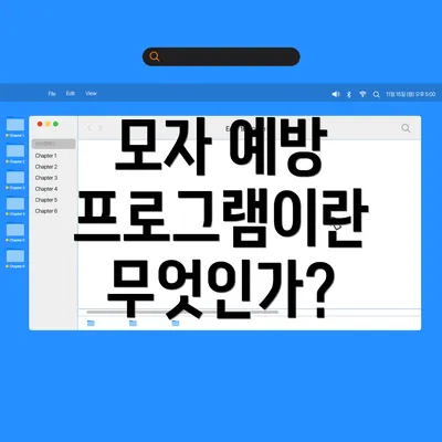 모자 예방 프로그램이란 무엇인가?