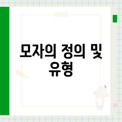모자의 정의 및 유형