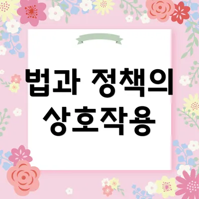 법과 정책의 상호작용