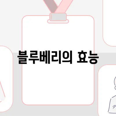 블루베리의 효능