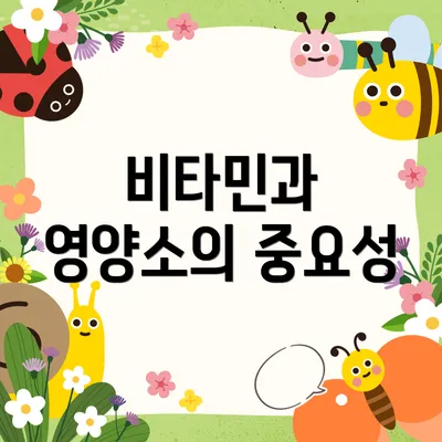 비타민과 영양소의 중요성