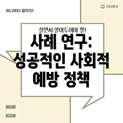 사례 연구: 성공적인 사회적 예방 정책