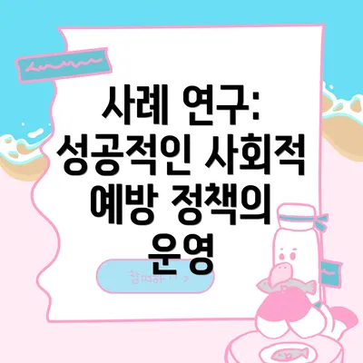 사례 연구: 성공적인 사회적 예방 정책의 운영