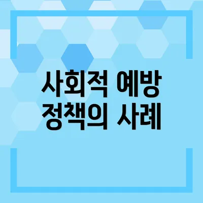 사회적 예방 정책의 사례
