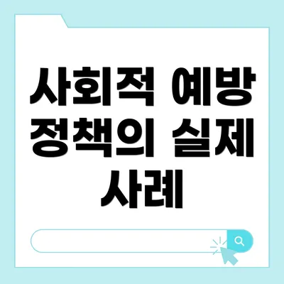 사회적 예방 정책의 실제 사례