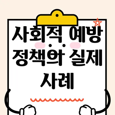 사회적 예방 정책의 실제 사례