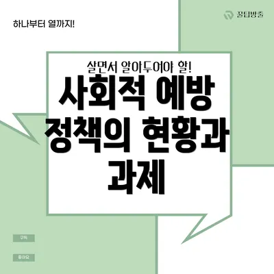 사회적 예방 정책의 현황과 과제