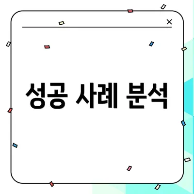 성공 사례 분석