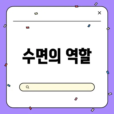 수면의 역할