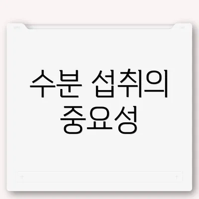 수분 섭취의 중요성