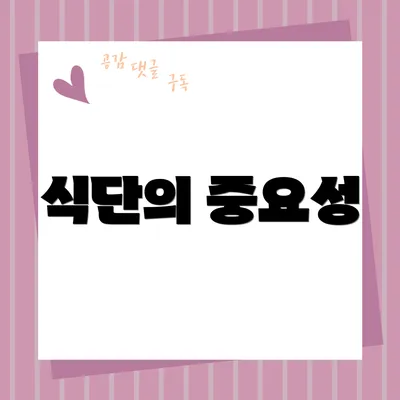 식단의 중요성