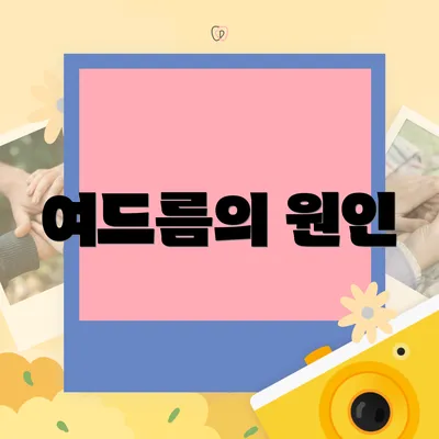 여드름의 원인
