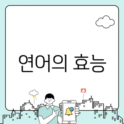 연어의 효능