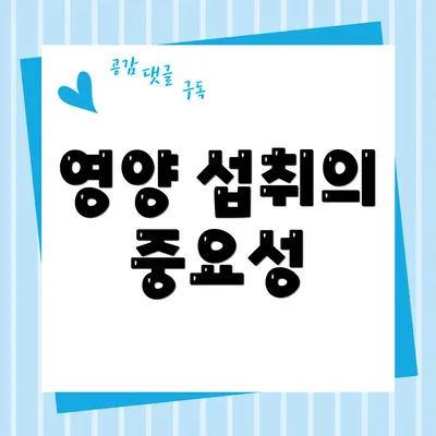 영양 섭취의 중요성