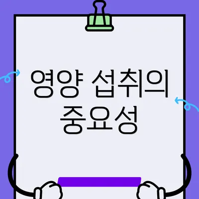 영양 섭취의 중요성