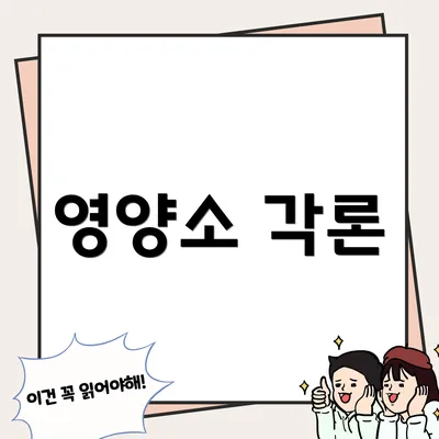 영양소 각론