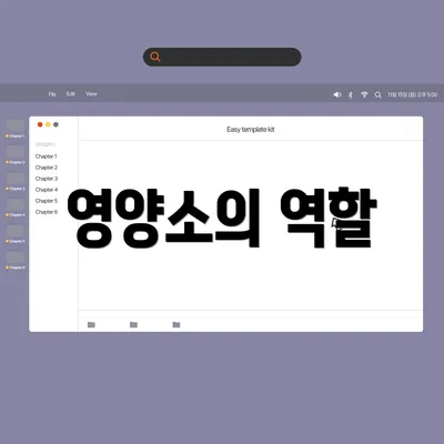 영양소의 역할